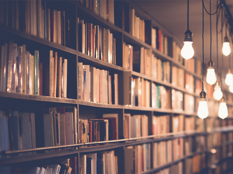 Crime Fiction Books: The Best Books of 2025